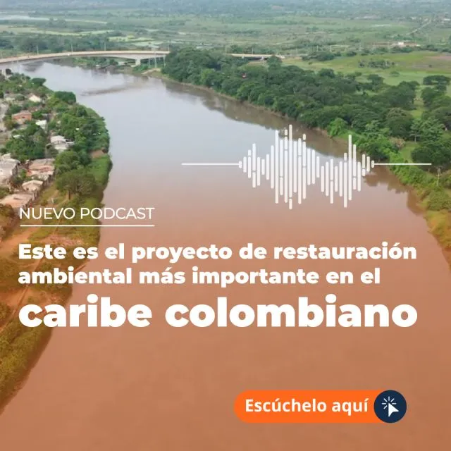 Este es el proyecto de restauración ambiental más importante en el caribe colombiano
